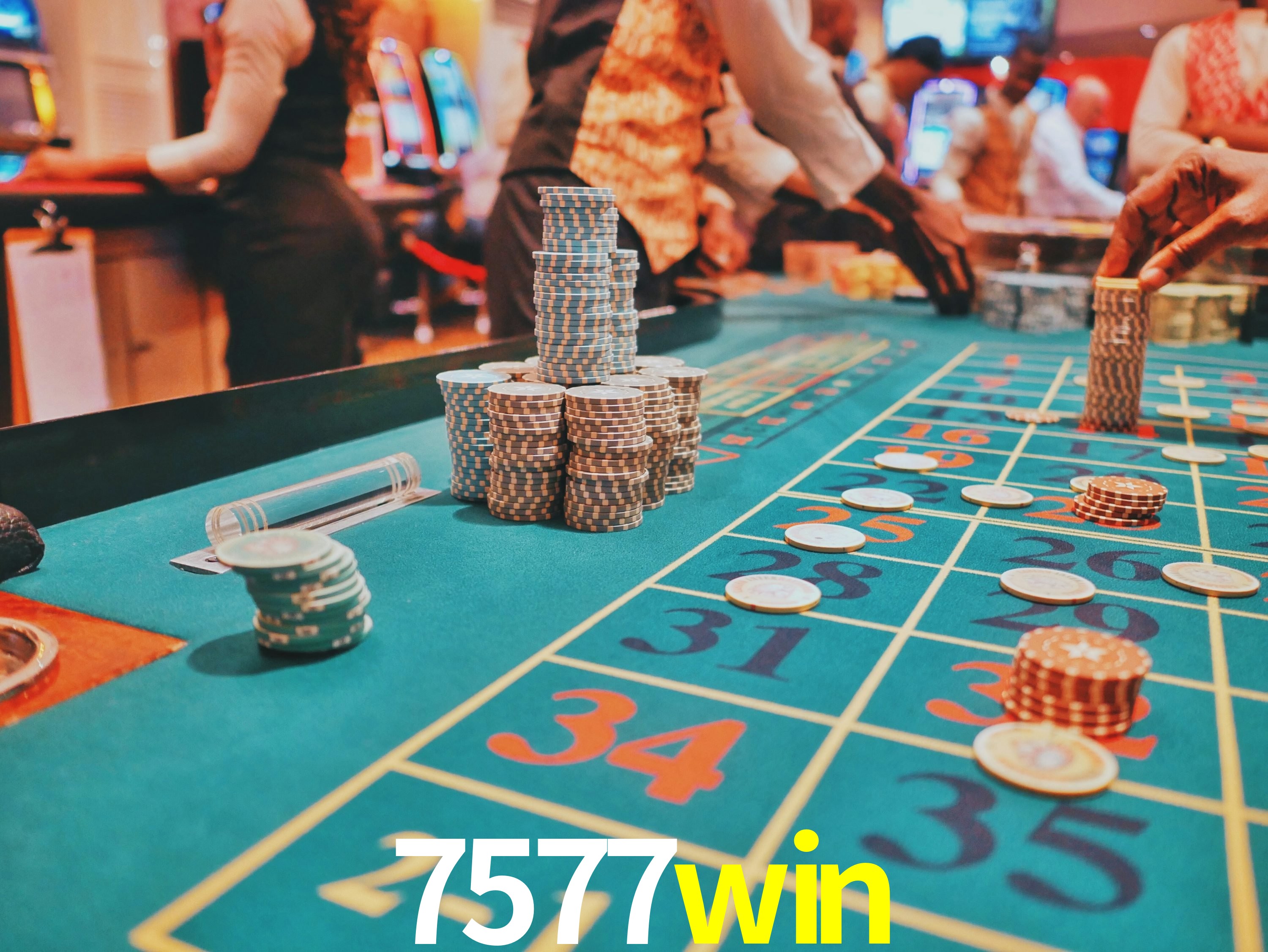 Programa VIP 7577win