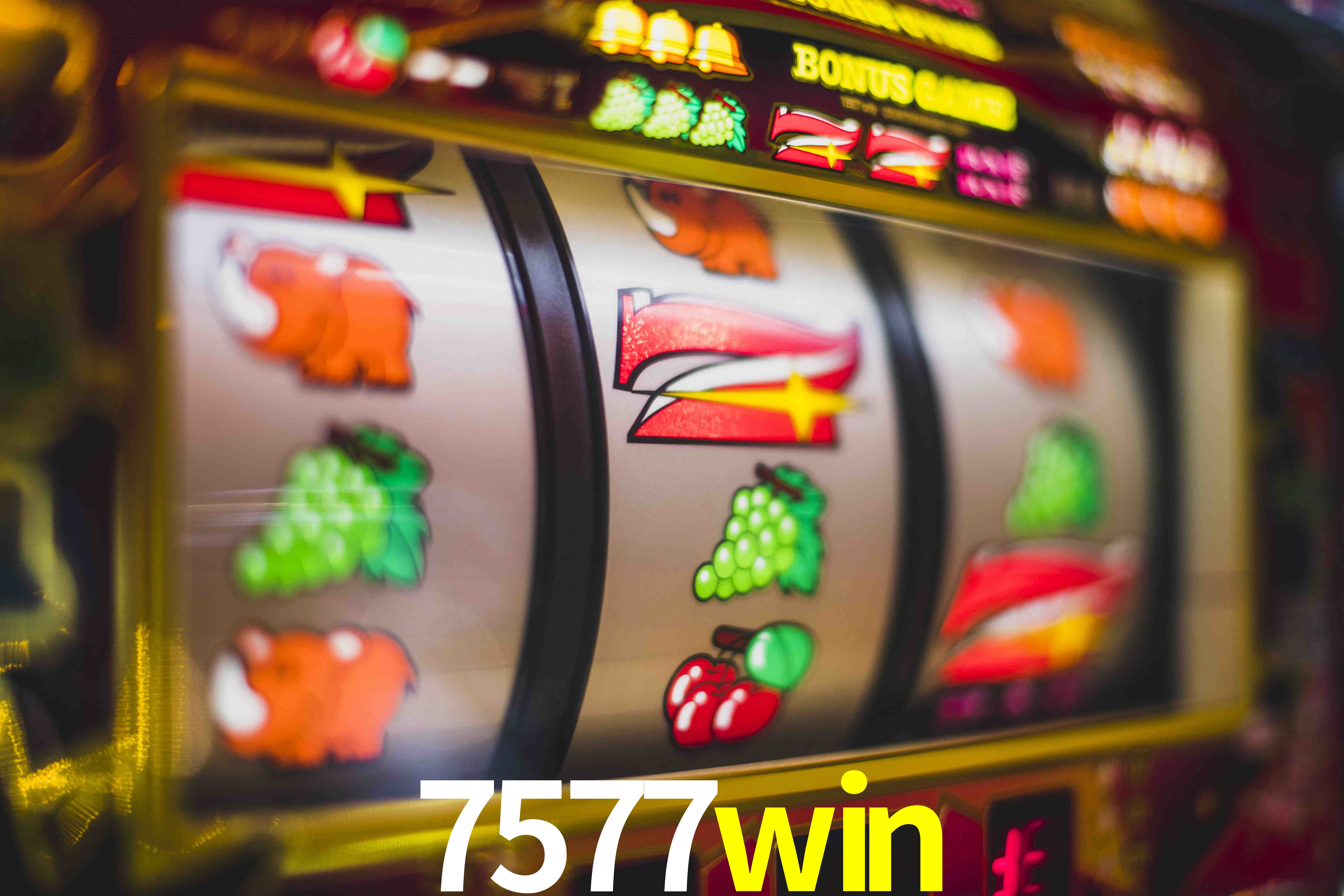 Sports Statistics 7577win